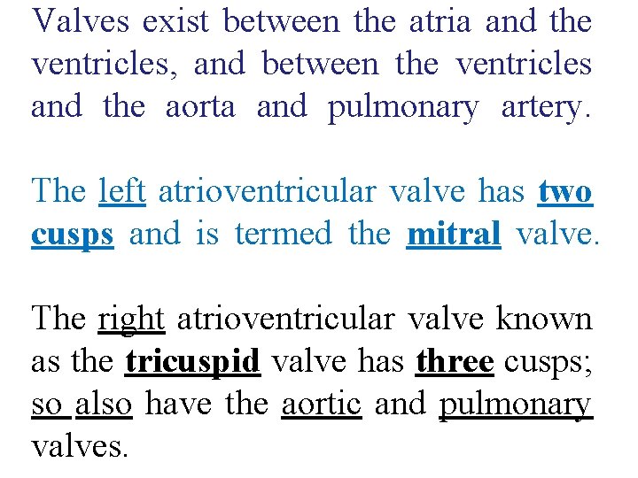 Valves exist between the atria and the ventricles, and between the ventricles and the