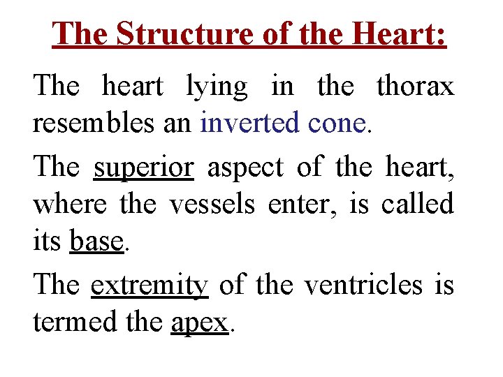 The Structure of the Heart: The heart lying in the thorax resembles an inverted