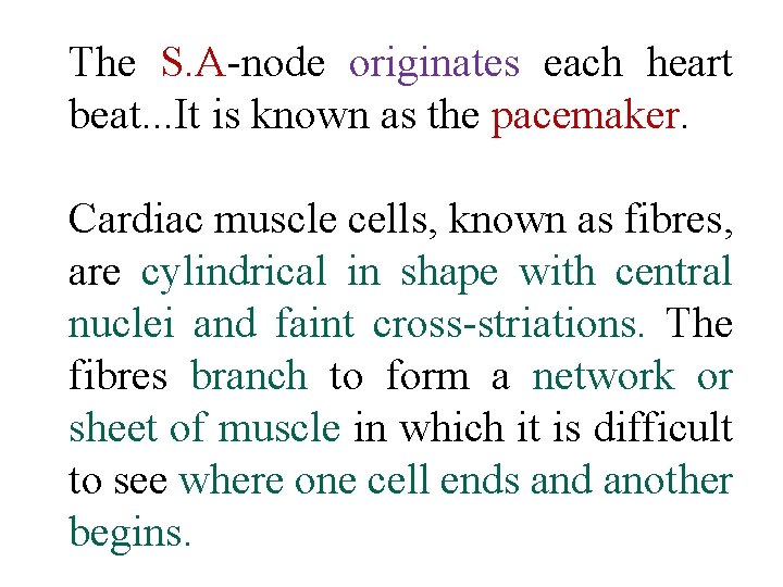 The S. A node originates each heart beat. . . It is known as