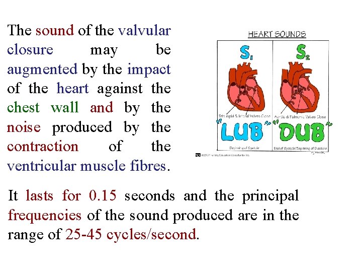 The sound of the valvular closure may be augmented by the impact of the