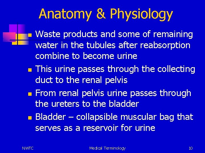 Anatomy & Physiology n n NWTC Waste products and some of remaining water in