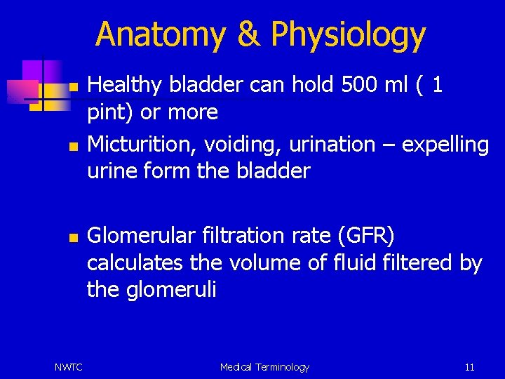 Anatomy & Physiology n n n NWTC Healthy bladder can hold 500 ml (