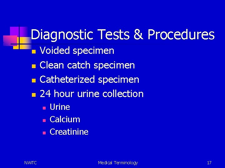 Diagnostic Tests & Procedures n n Voided specimen Clean catch specimen Catheterized specimen 24