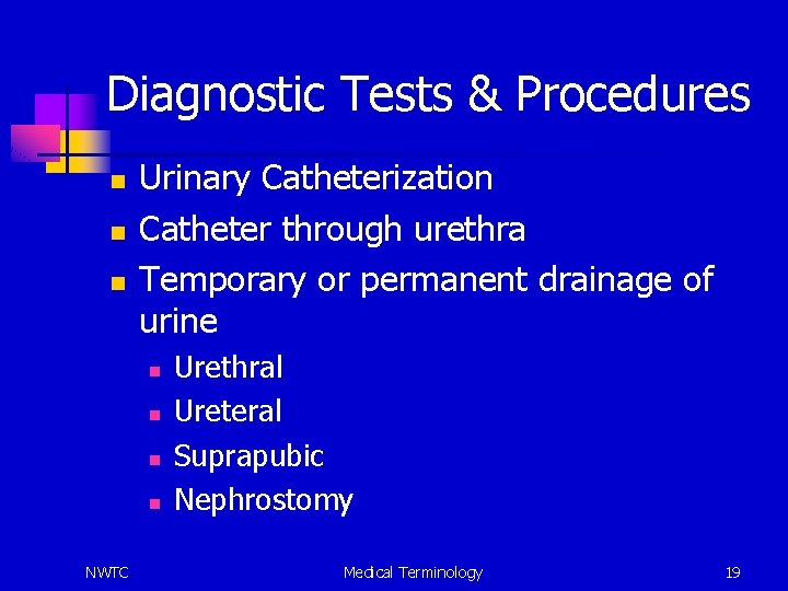 Diagnostic Tests & Procedures n n n Urinary Catheterization Catheter through urethra Temporary or