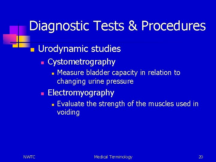 Diagnostic Tests & Procedures n Urodynamic studies n Cystometrography n n Electromyography n NWTC