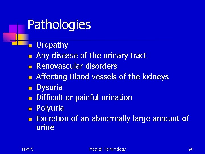 Pathologies n n n n NWTC Uropathy Any disease of the urinary tract Renovascular