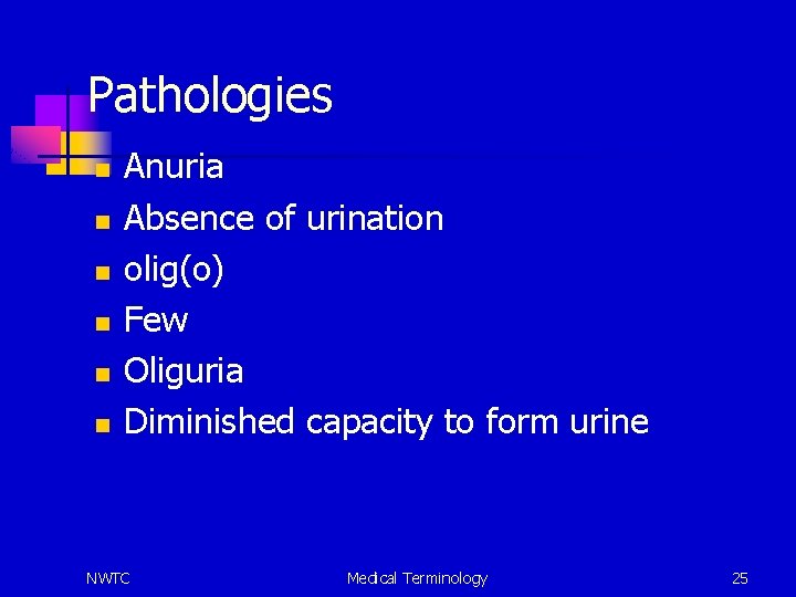 Pathologies n n n Anuria Absence of urination olig(o) Few Oliguria Diminished capacity to