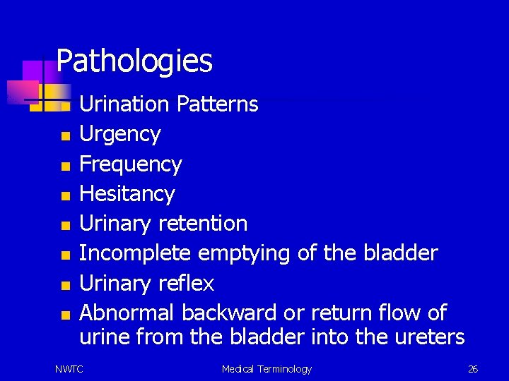 Pathologies n n n n Urination Patterns Urgency Frequency Hesitancy Urinary retention Incomplete emptying