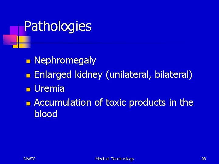 Pathologies n n Nephromegaly Enlarged kidney (unilateral, bilateral) Uremia Accumulation of toxic products in