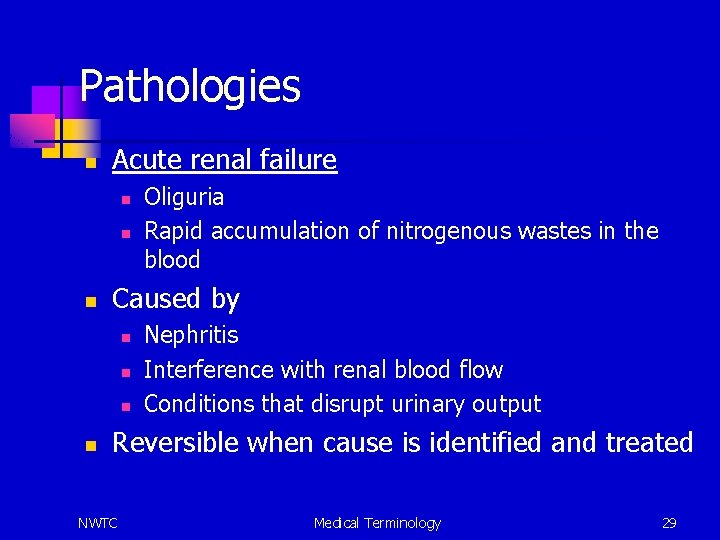 Pathologies n Acute renal failure n n n Caused by n n Oliguria Rapid