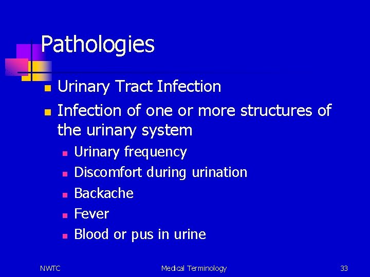 Pathologies n n Urinary Tract Infection of one or more structures of the urinary