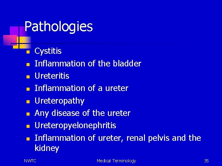 Pathologies n n n n Cystitis Inflammation of the bladder Ureteritis Inflammation of a