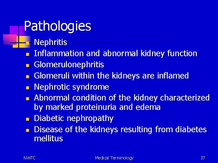 Pathologies n n n n Nephritis Inflammation and abnormal kidney function Glomerulonephritis Glomeruli within