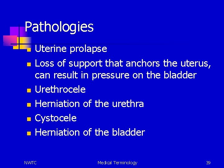 Pathologies n n n Uterine prolapse Loss of support that anchors the uterus, can