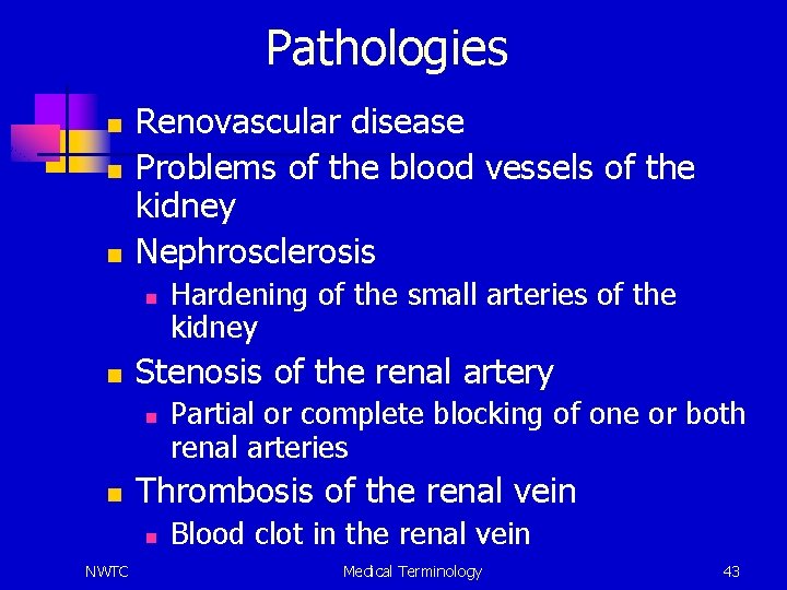 Pathologies n n n Renovascular disease Problems of the blood vessels of the kidney