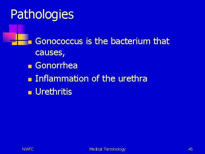 Pathologies n n NWTC Gonococcus is the bacterium that causes, Gonorrhea Inflammation of the