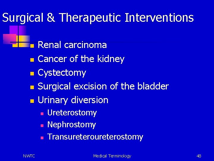 Surgical & Therapeutic Interventions n n n Renal carcinoma Cancer of the kidney Cystectomy