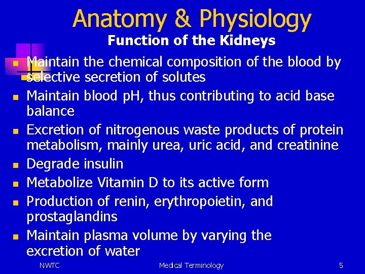 Anatomy & Physiology Function of the Kidneys n n n n Maintain the chemical