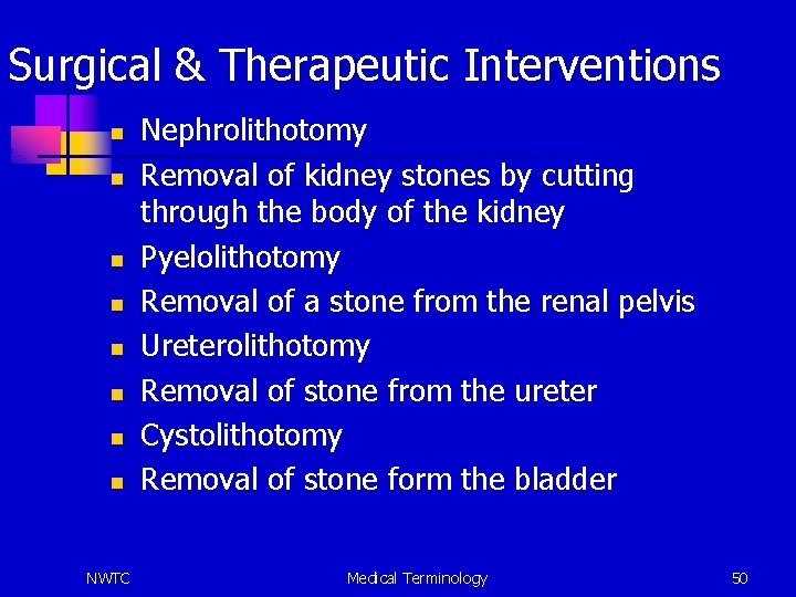 Surgical & Therapeutic Interventions n n n n NWTC Nephrolithotomy Removal of kidney stones