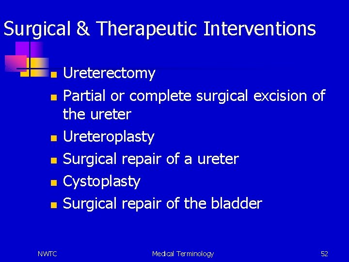 Surgical & Therapeutic Interventions n n n NWTC Ureterectomy Partial or complete surgical excision