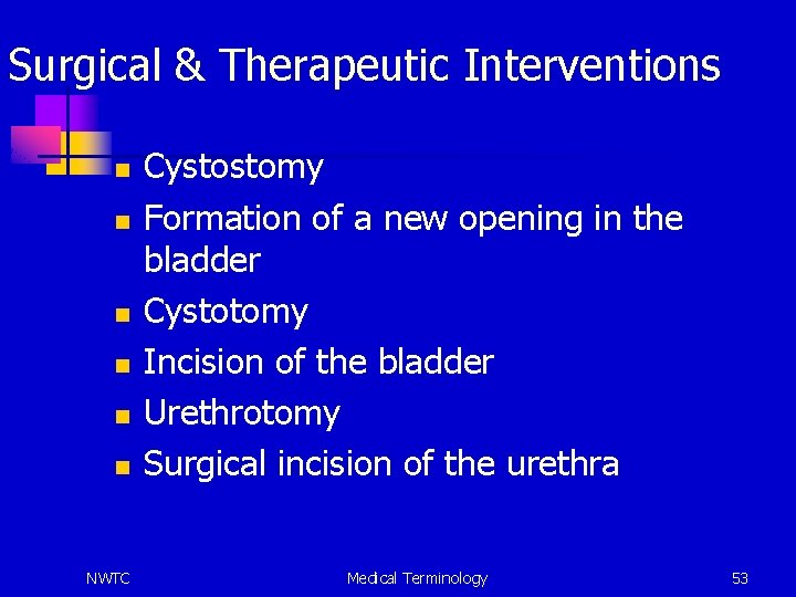 Surgical & Therapeutic Interventions n n n NWTC Cystostomy Formation of a new opening