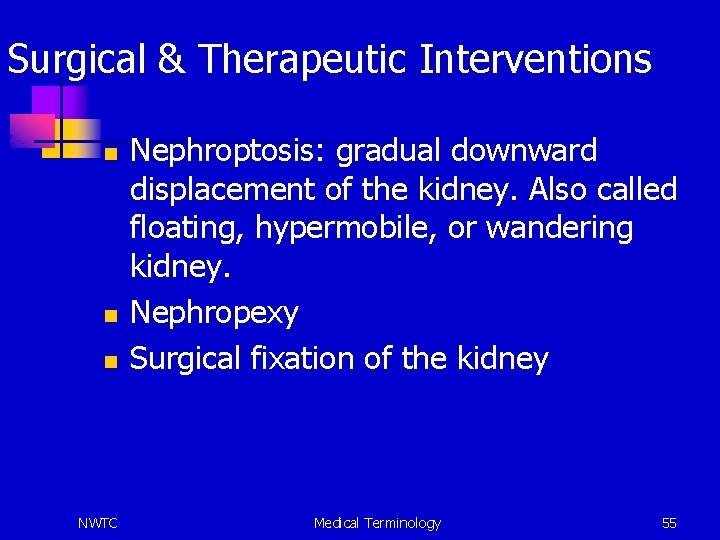 Surgical & Therapeutic Interventions n n n NWTC Nephroptosis: gradual downward displacement of the