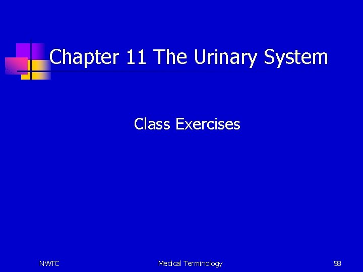 Chapter 11 The Urinary System Class Exercises NWTC Medical Terminology 58 