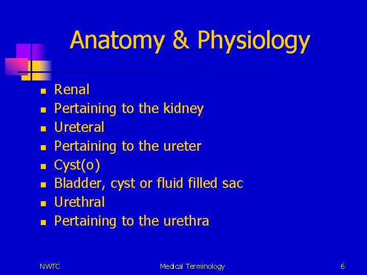 Anatomy & Physiology n n n n Renal Pertaining to the kidney Ureteral Pertaining