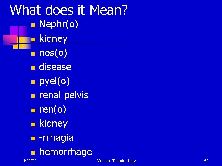 What does it Mean? n n n n n NWTC Nephr(o) kidney nos(o) disease