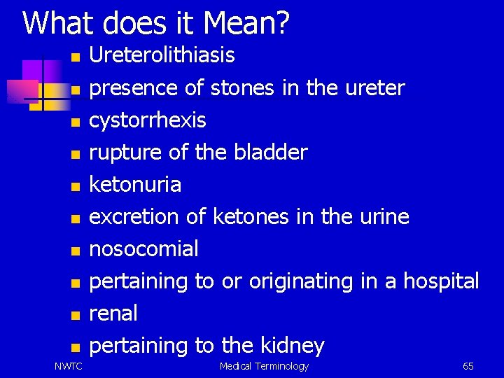 What does it Mean? n n n n n NWTC Ureterolithiasis presence of stones