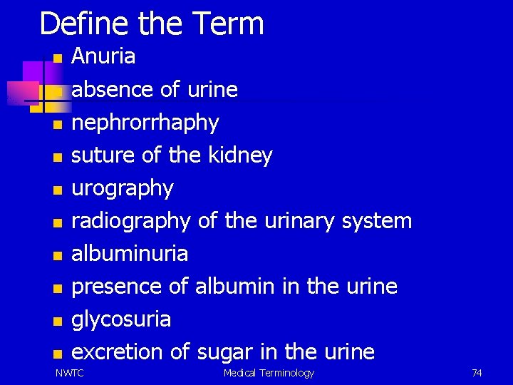 Define the Term n n n n n Anuria absence of urine nephrorrhaphy suture