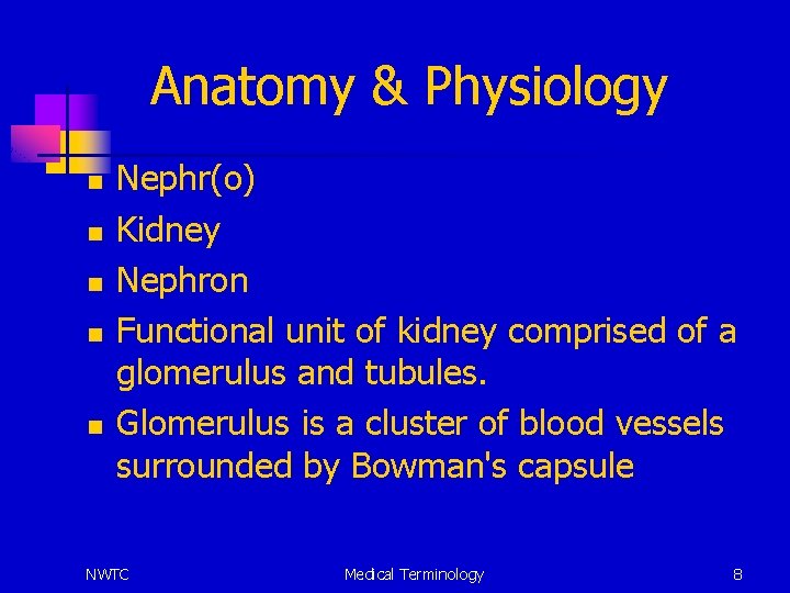 Anatomy & Physiology n n n Nephr(o) Kidney Nephron Functional unit of kidney comprised