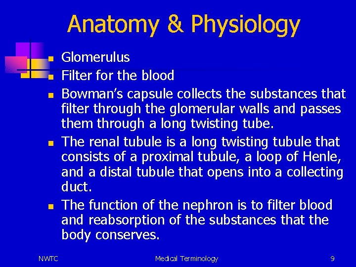 Anatomy & Physiology n n n NWTC Glomerulus Filter for the blood Bowman’s capsule