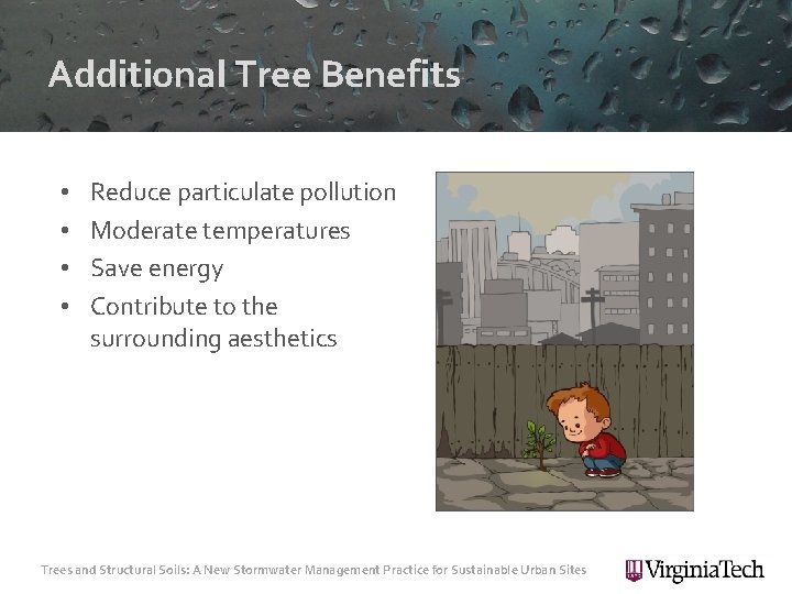 Additional Tree Benefits • • Reduce particulate pollution Moderate temperatures Save energy Contribute to
