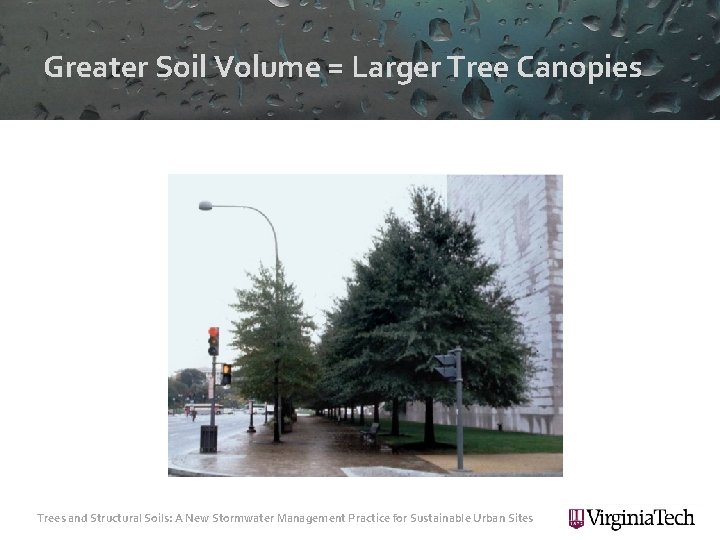 Greater Soil Volume = Larger Tree Canopies Trees and Structural Soils: A New Stormwater