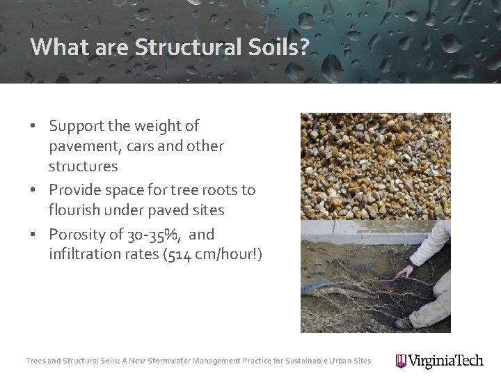 What are Structural Soils? • Support the weight of pavement, cars and other structures