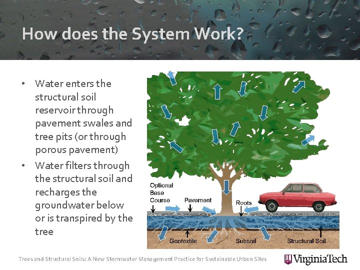How does the System Work? • Water enters the structural soil reservoir through pavement