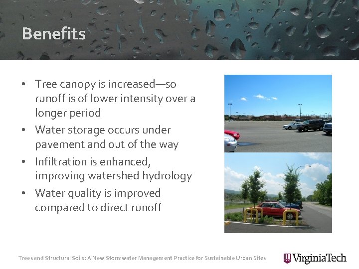 Benefits • Tree canopy is increased—so runoff is of lower intensity over a longer