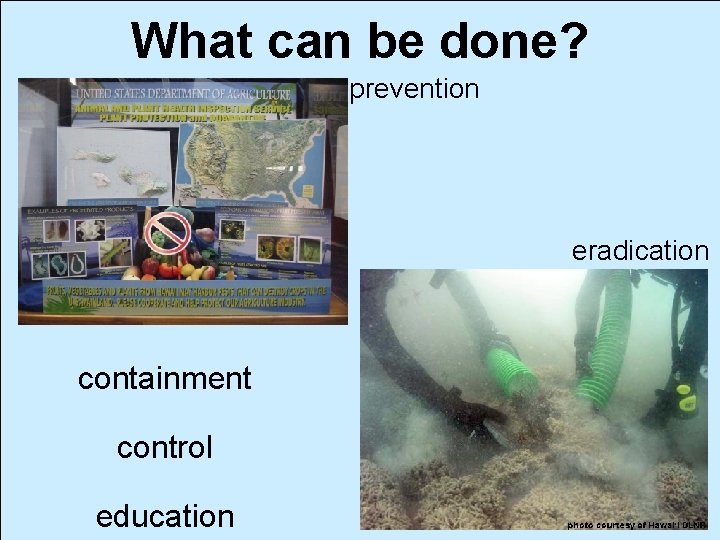 What can be done? prevention eradication containment control education 