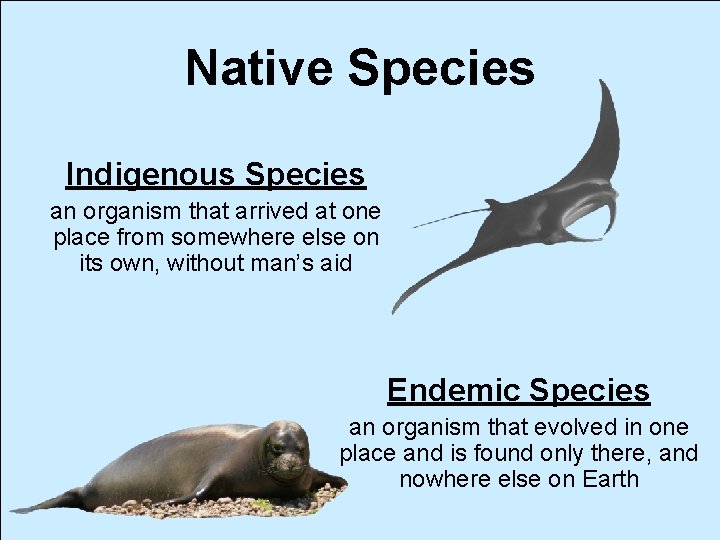 Native Species Indigenous Species an organism that arrived at one place from somewhere else