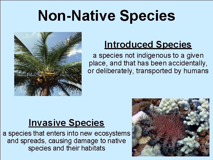 Non-Native Species Introduced Species a species not indigenous to a given place, and that