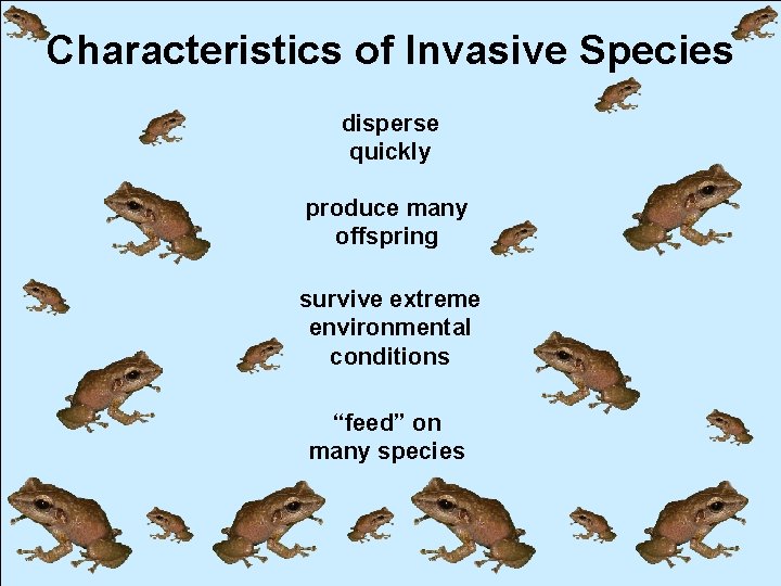 Characteristics of Invasive Species disperse quickly produce many offspring survive extreme environmental conditions “feed”