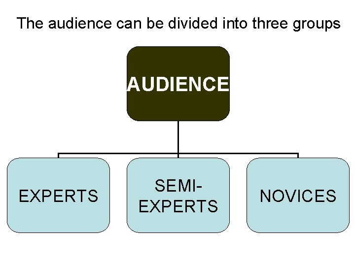 The audience can be divided into three groups AUDIENCE EXPERTS SEMIEXPERTS NOVICES 