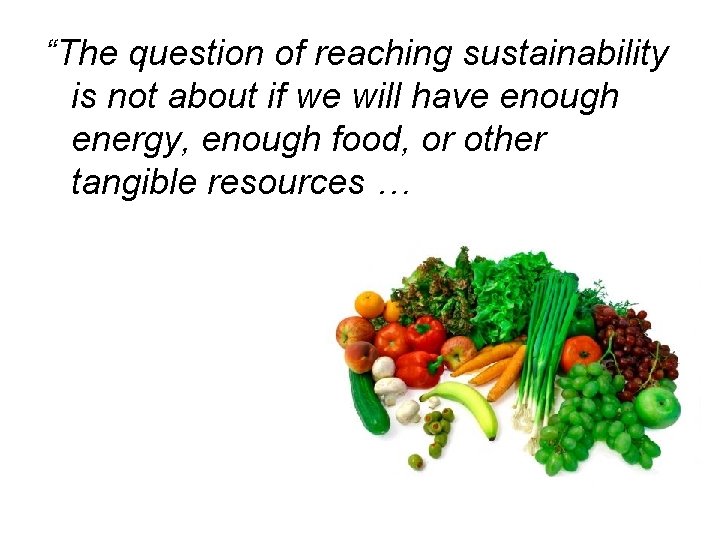 “The question of reaching sustainability is not about if we will have enough energy,