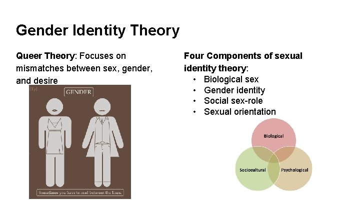 Gender Identity Theory Queer Theory: Focuses on mismatches between sex, gender, and desire Four
