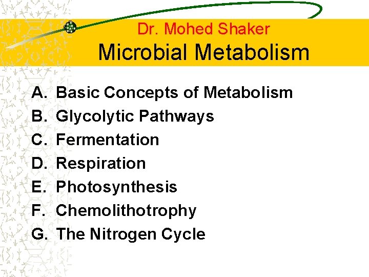 Dr. Mohed Shaker Microbial Metabolism A. B. C. D. E. F. G. Basic Concepts