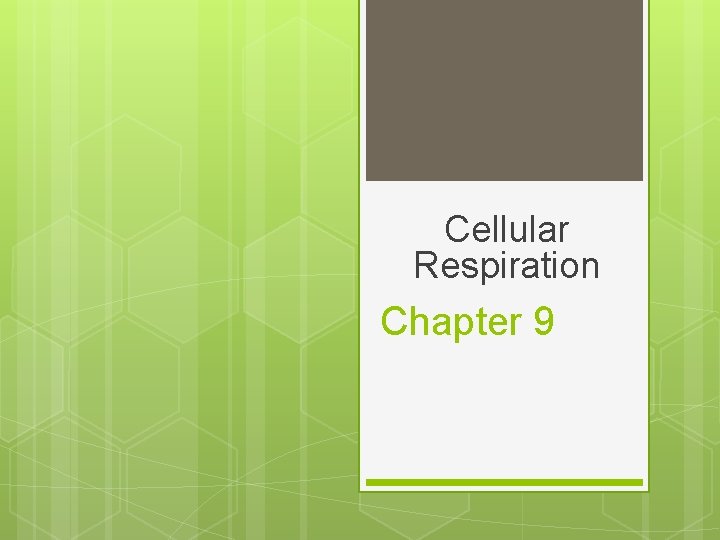 Cellular Respiration Chapter 9 Cellular Respiration Chapter 9