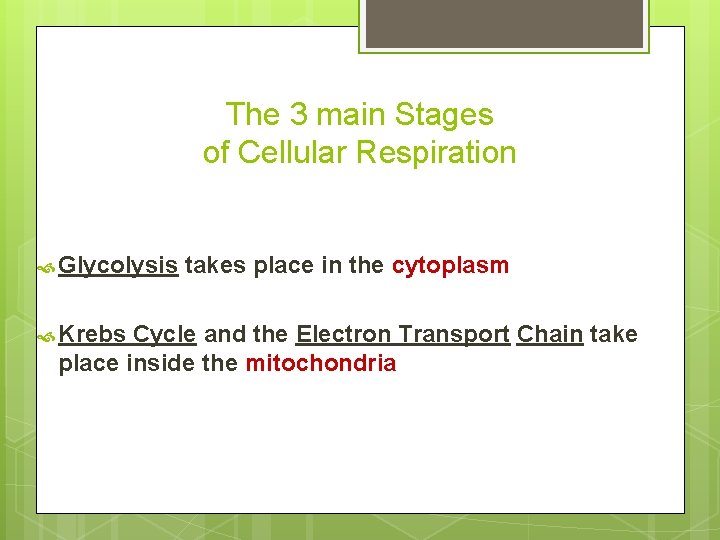 The 3 main Stages of Cellular Respiration Glycolysis Krebs takes place in the cytoplasm