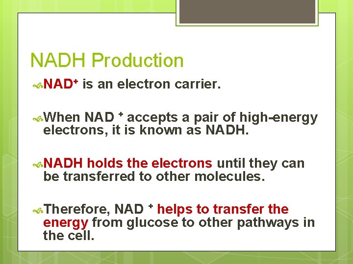 NADH Production NAD+ is an electron carrier. When NAD + accepts a pair of NADH Production NAD+ is an electron carrier. When NAD + accepts a pair of
