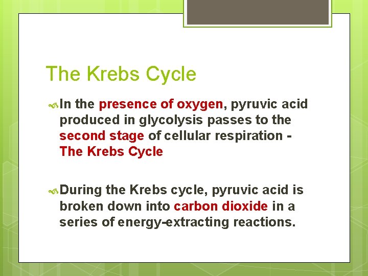 The Krebs Cycle In the presence of oxygen, pyruvic acid produced in glycolysis passes